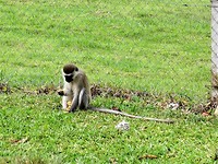 DSC00554kopie