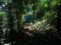 DSC01236kopie1