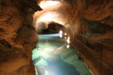 in the Caves
