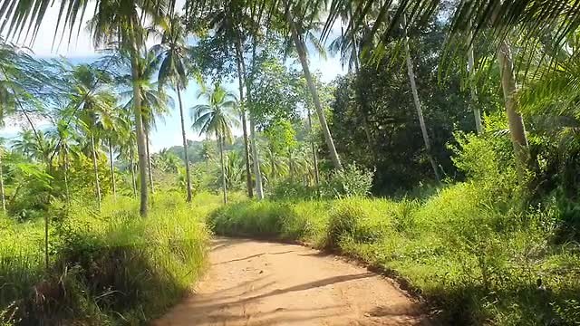 On my way underground river!