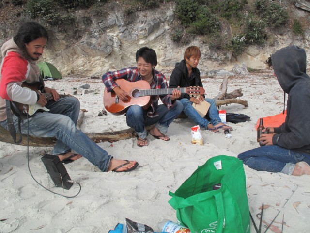 Gitaren en strand