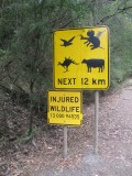 Wild life; kangoeroe, koala, kakatoes en koeien! (K4)
