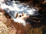 Waterval