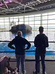 In het Aquarium