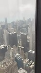 “Zicht” van de Willistower