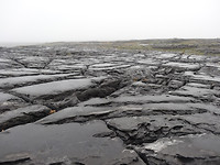 TheBurren