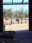 IMG_5442