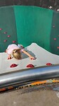 Roos klimmuur Plopsaland
