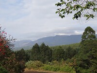 ZuidAfrika(T) (185)
