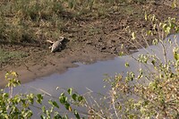 DSC02192