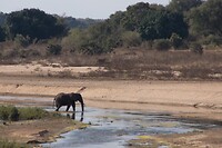 DSC02205