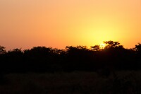 DSC02287