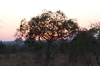 DSC03213