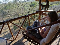 ZuidAfrika(T) (329)