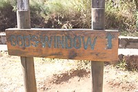DSC03386