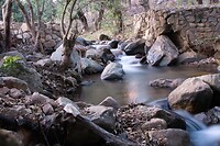 DSC03503