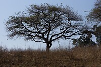 DSC03535