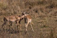 DSC03539