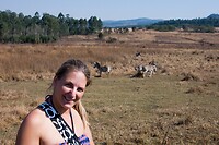 DSC03554