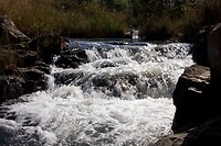 DSC03571