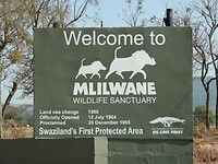 ZuidAfrika(T) (408)