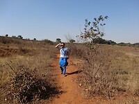 ZuidAfrika(T) (419)
