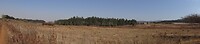 ZuidAfrika(T) (423)