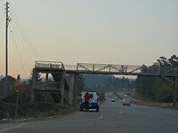 ZuidAfrika(T) (427)