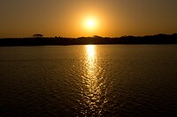 DSC03933
