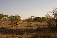 DSC03986