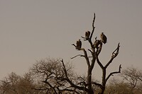 DSC04018