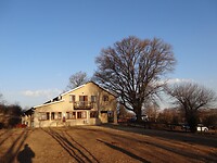 ZuidAfrika(T) (487)