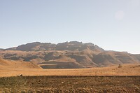 DSC04294