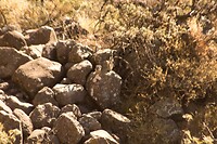 DSC04317