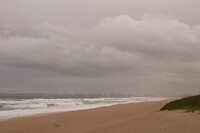 DSC04525