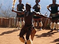 ZuidAfrika(T) (510)