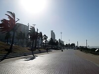 ZuidAfrika(T) (543)