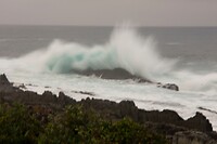 DSC04750