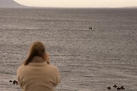 DSC05636