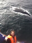 Walvis (20)
