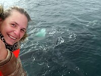 Walvis (34)