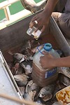 DSC05542