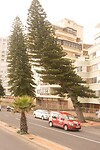 DSC05952