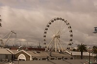 DSC05972