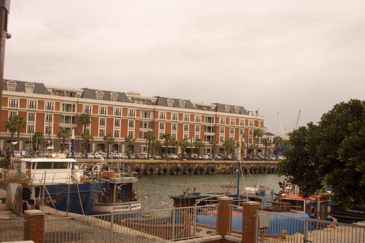 DSC05982