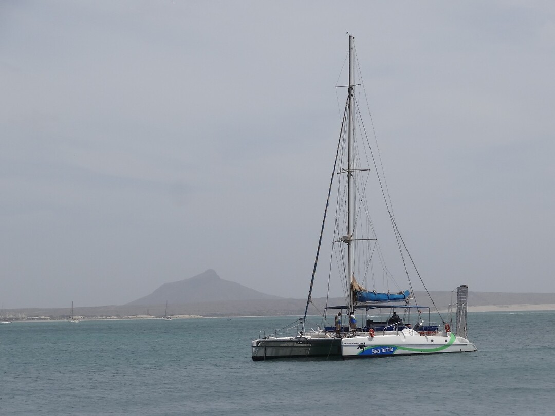 DSC04824