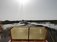 Everglades