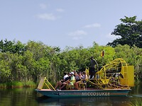 Everglades Airboat