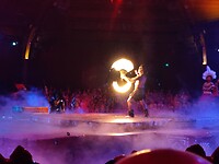 Animal Kingdom - Lion King show