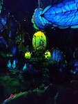 Animal Kingdom - River of Navi